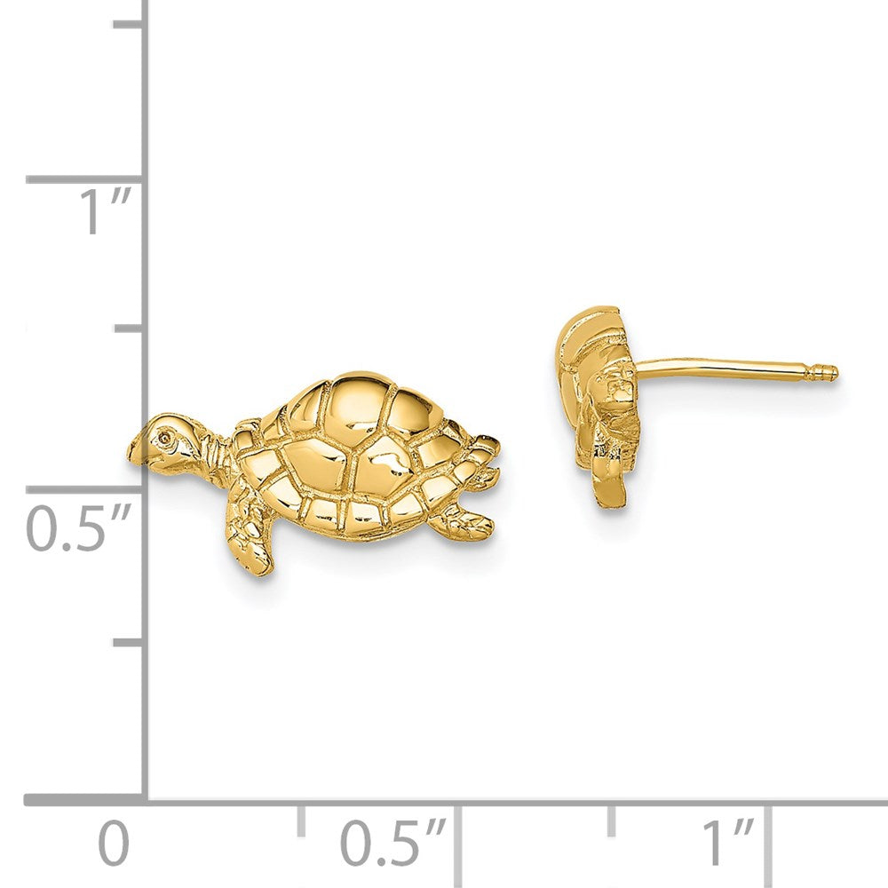 14K Gelbgold Poliert Swimming Meer Schildkröte Ohrstecker