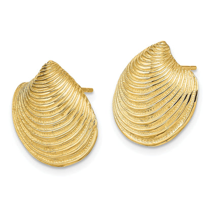 14K Gelbgold 2-d Strukturiert und Poliert Clam Muschel Ohrstecker