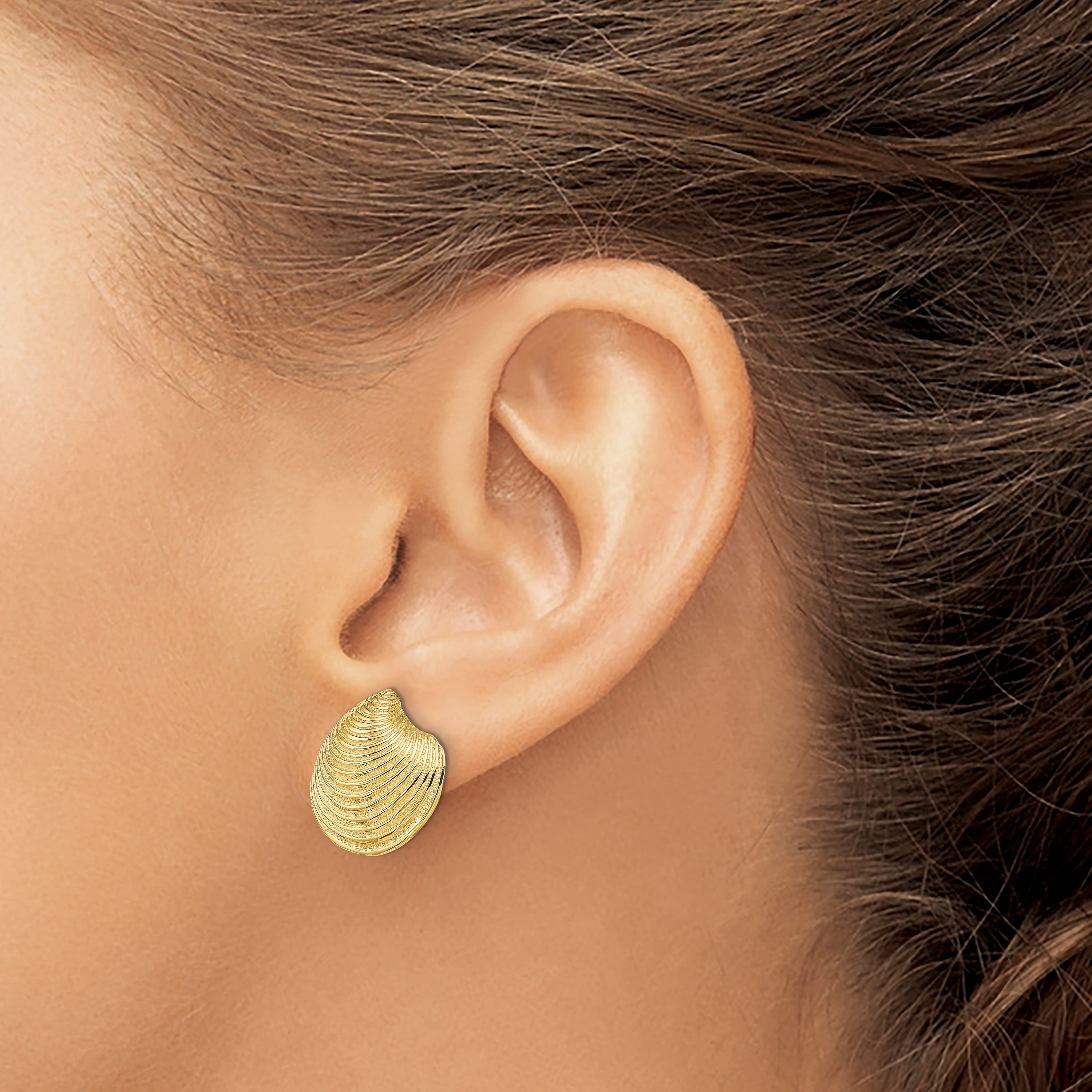 14K Gelbgold 2-d Strukturiert und Poliert Clam Muschel Ohrstecker