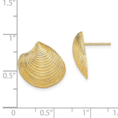 14K Gelbgold 2-d Strukturiert und Poliert Clam Muschel Ohrstecker