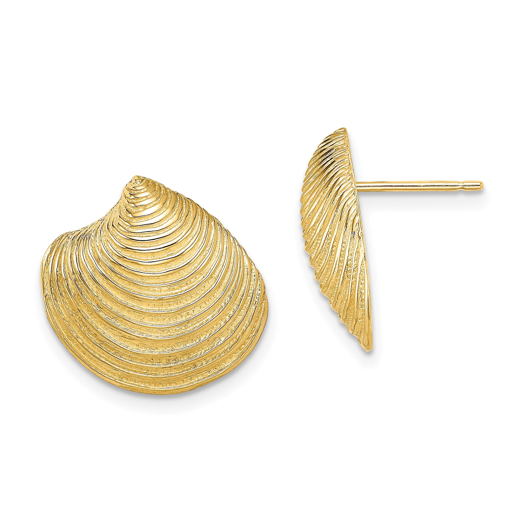 14K Gelbgold 2-d Strukturiert und Poliert Clam Muschel Ohrstecker