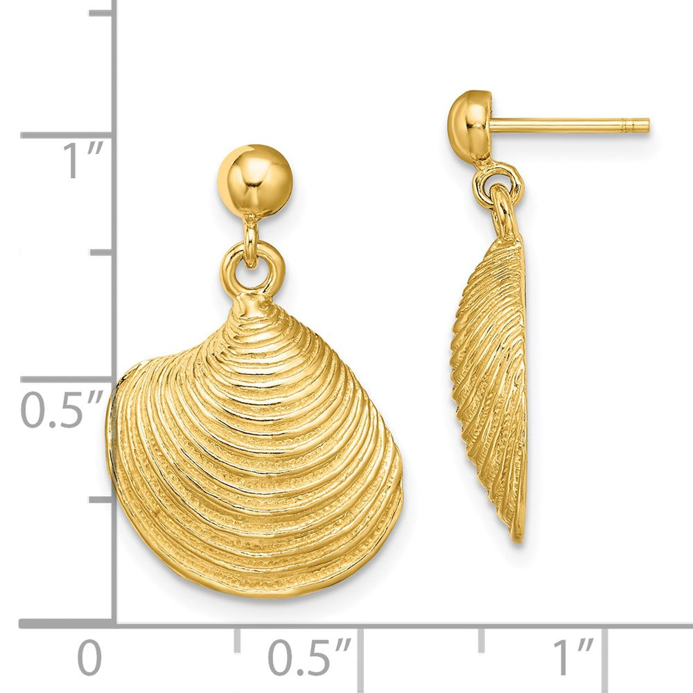 14K Gelbgold 2-d Strukturiert und Poliert Clam Muschel Ohrhänger