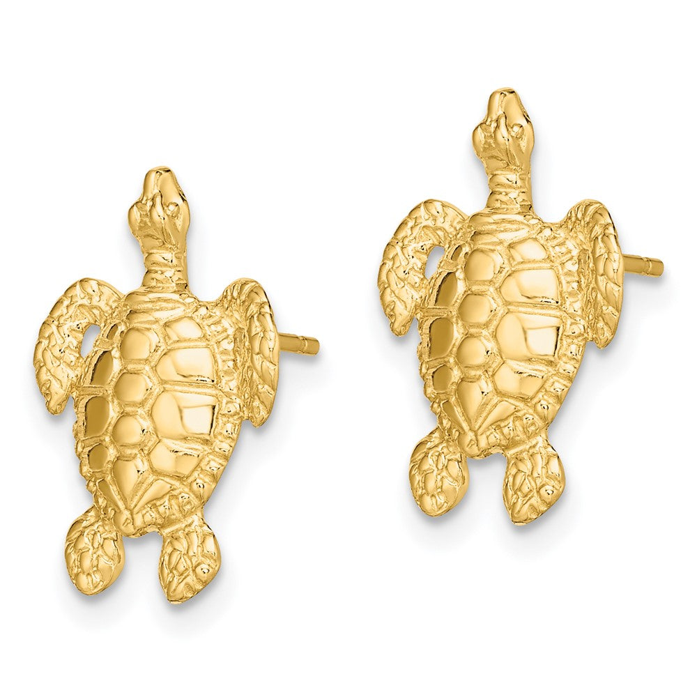 14K Gelbgold Poliert und Strukturiert Meer Schildkröte Ohrstecker
