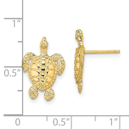 14K Gelbgold Poliert und Strukturiert Meer Schildkröte Ohrstecker