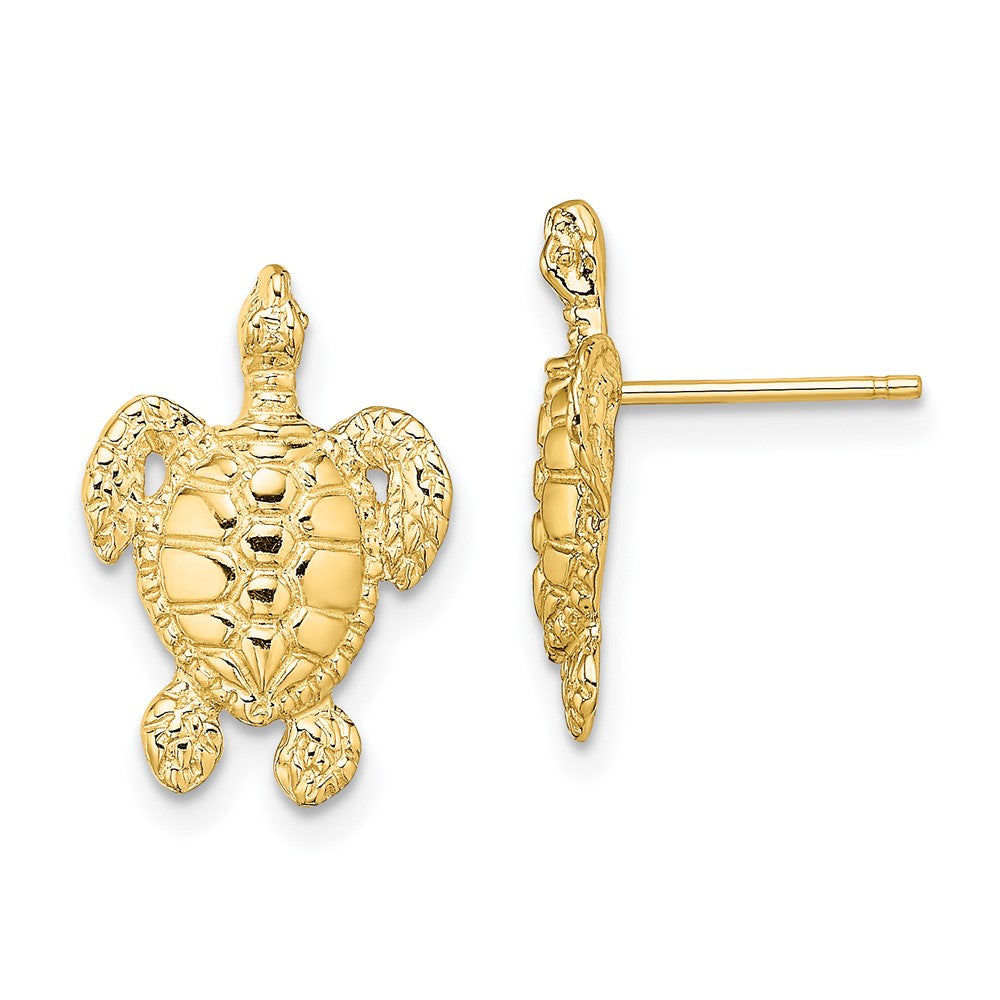 14K Gelbgold Poliert und Strukturiert Meer Schildkröte Ohrstecker