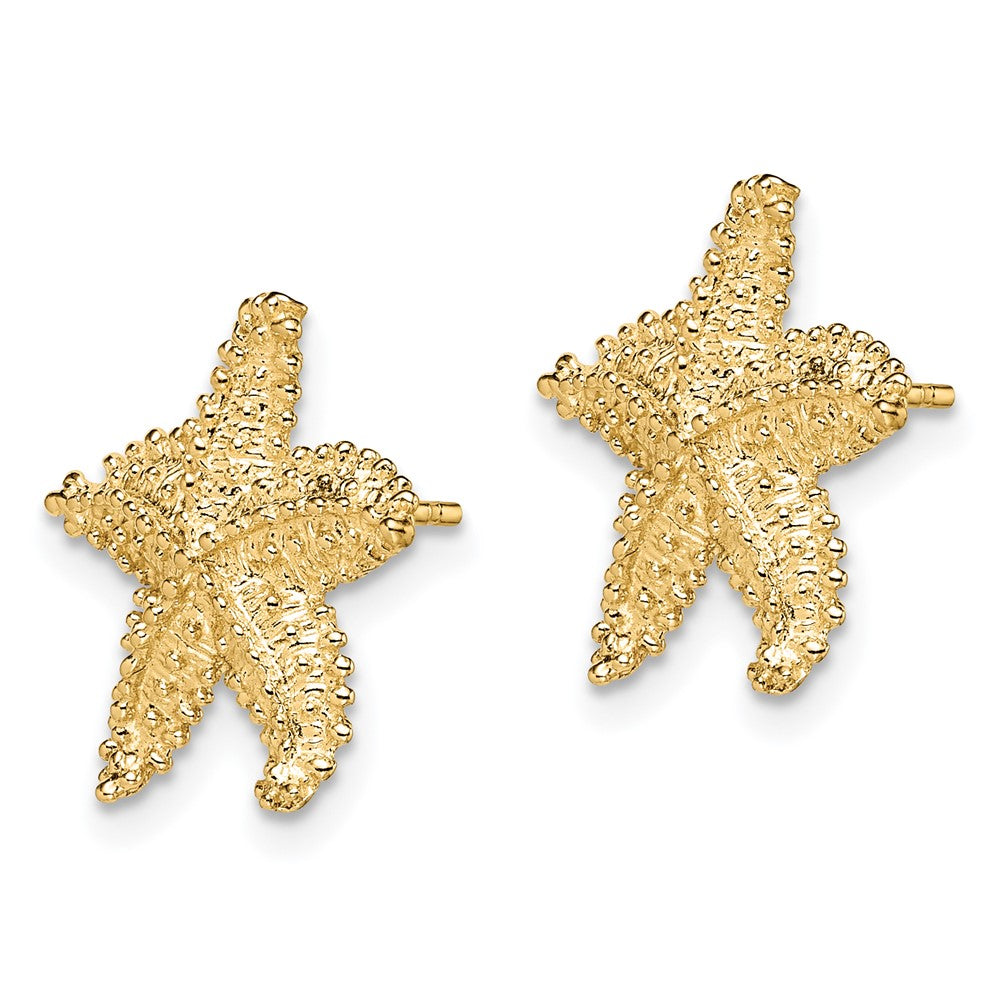 14K Gelbgold Strukturiert und Gekugelt Seestern Ohrstecker