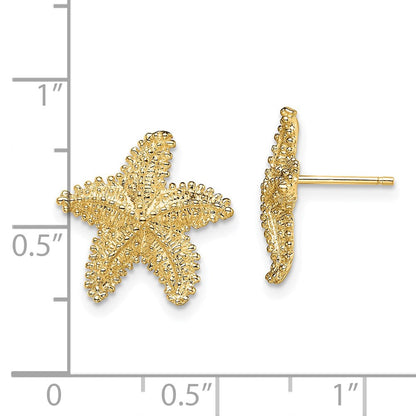 14K Gelbgold Strukturiert und Gekugelt Seestern Ohrstecker
