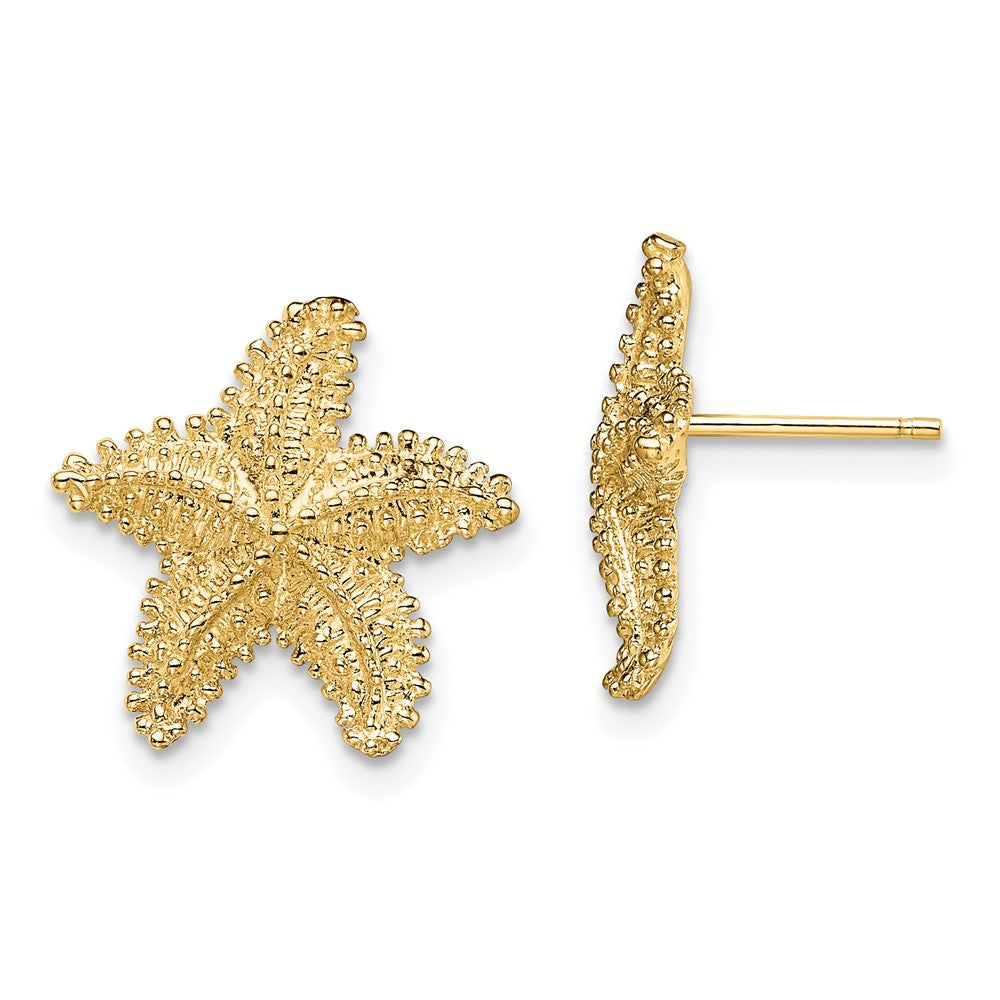 14K Gelbgold Strukturiert und Gekugelt Seestern Ohrstecker