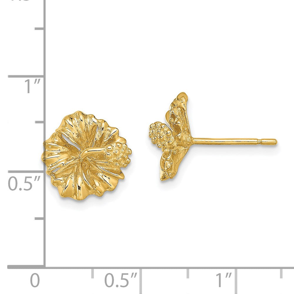 14K Gelbgold 2-d Hibiscus Blume Ohrstecker