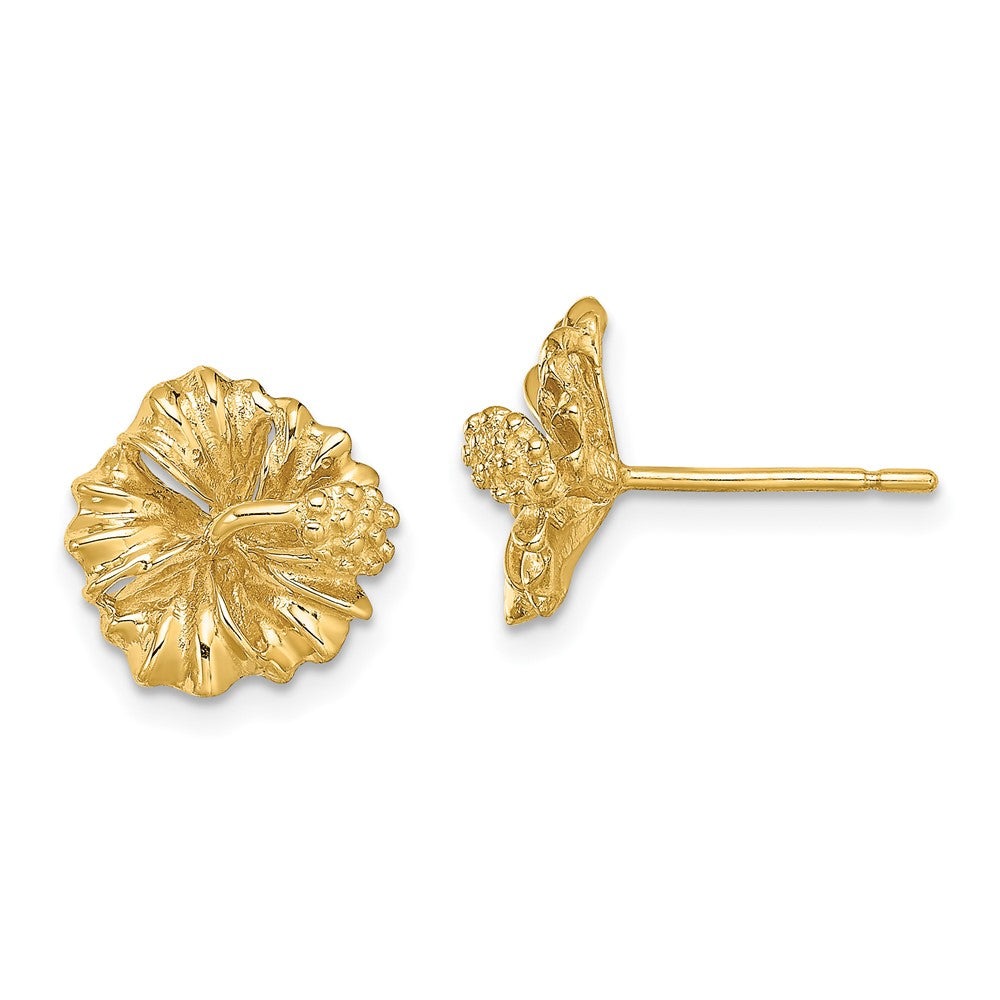 14K Gelbgold 2-d Hibiscus Blume Ohrstecker