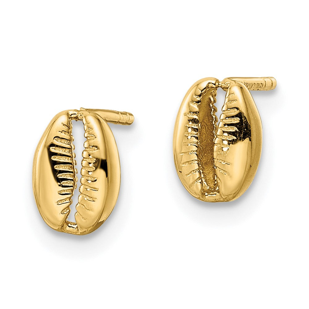 14K Gelbgold Poliert Muschel Ohrstecker