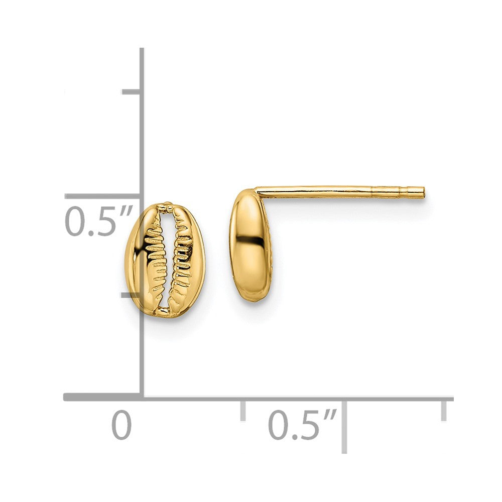 14K Gelbgold Poliert Muschel Ohrstecker