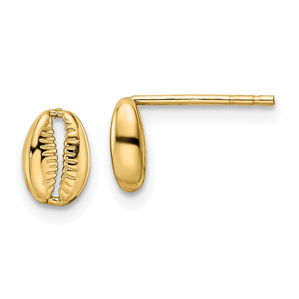 14K Gelbgold Poliert Muschel Ohrstecker