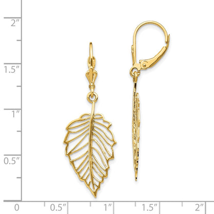 14K Gelbgold Poliert Blatt Ohrhänger mit Brisur