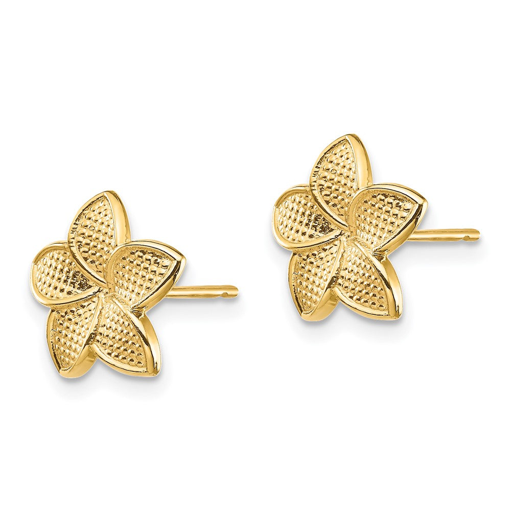 14K Gelbgold Poliert & Strukturiert Plumeria Ohrstecker