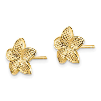14K Gelbgold Poliert & Strukturiert Plumeria Ohrstecker