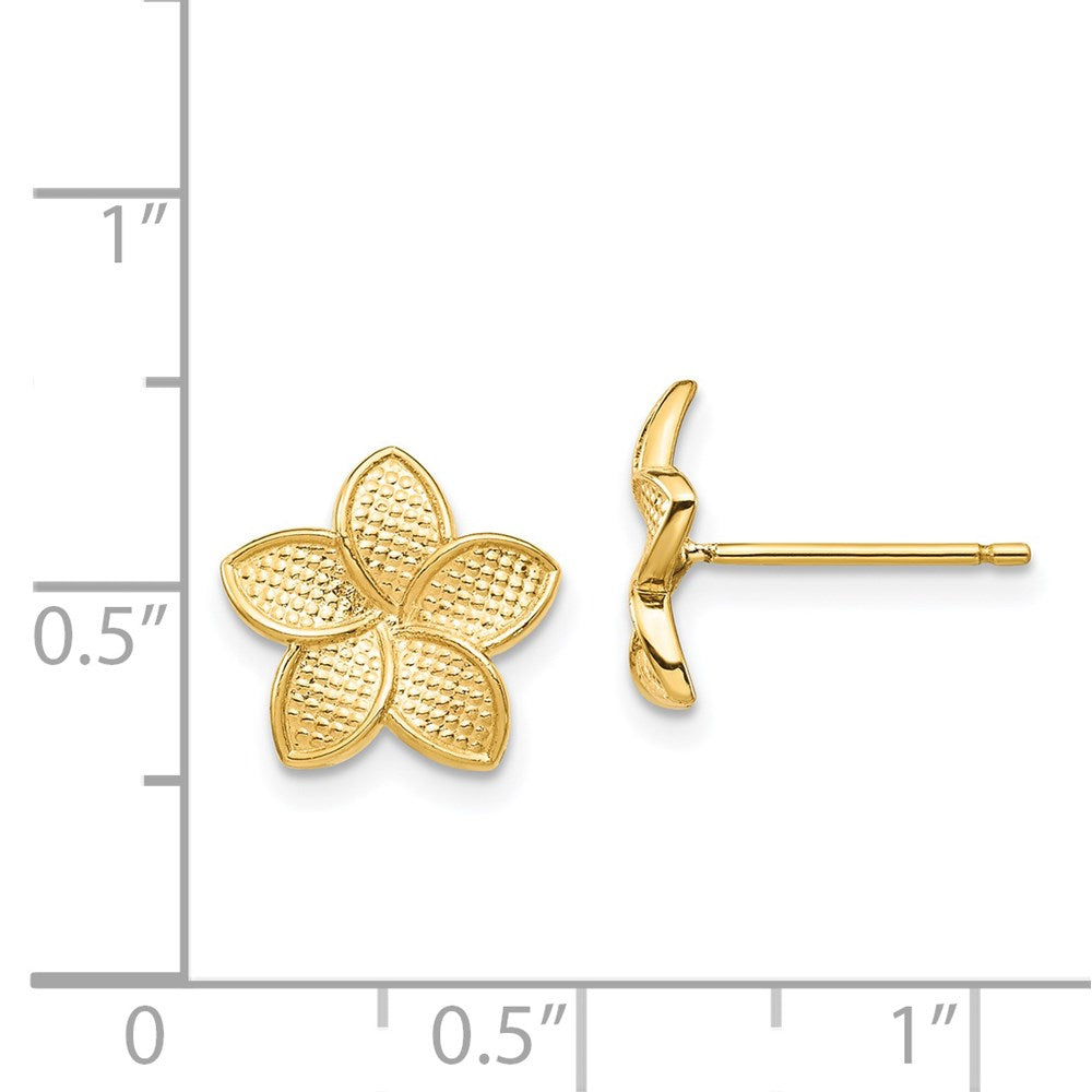 14K Gelbgold Poliert & Strukturiert Plumeria Ohrstecker