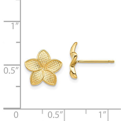 14K Gelbgold Poliert & Strukturiert Plumeria Ohrstecker