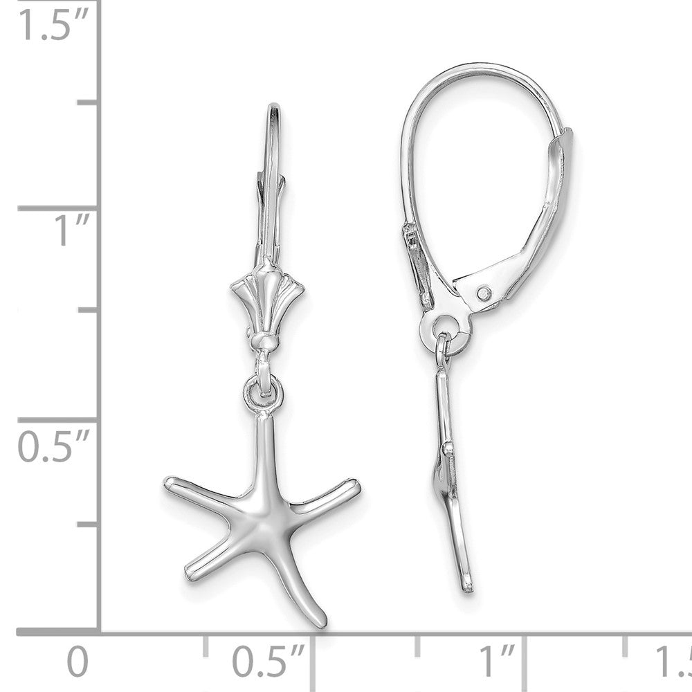14K Weißgold 3-d Mini Seestern Ohrhänger mit Brisur