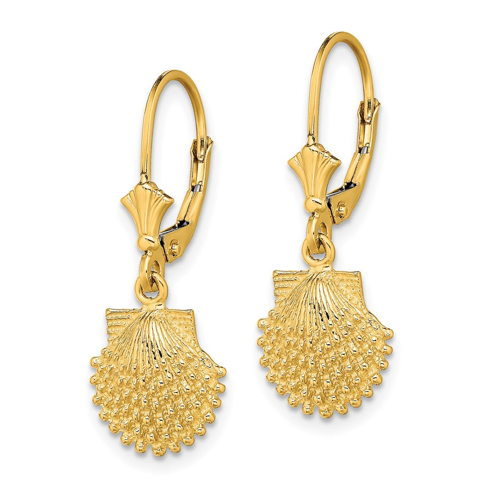 14K Gelbgold 2-d Gekugelt Muschel Ohrhänger mit Brisur