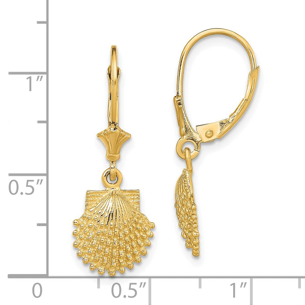14K Gelbgold 2-d Gekugelt Muschel Ohrhänger mit Brisur