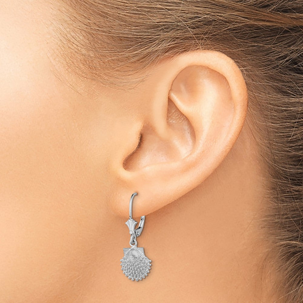 14K Weißgold Gekugelt Muschel Ohrhänger mit Brisur