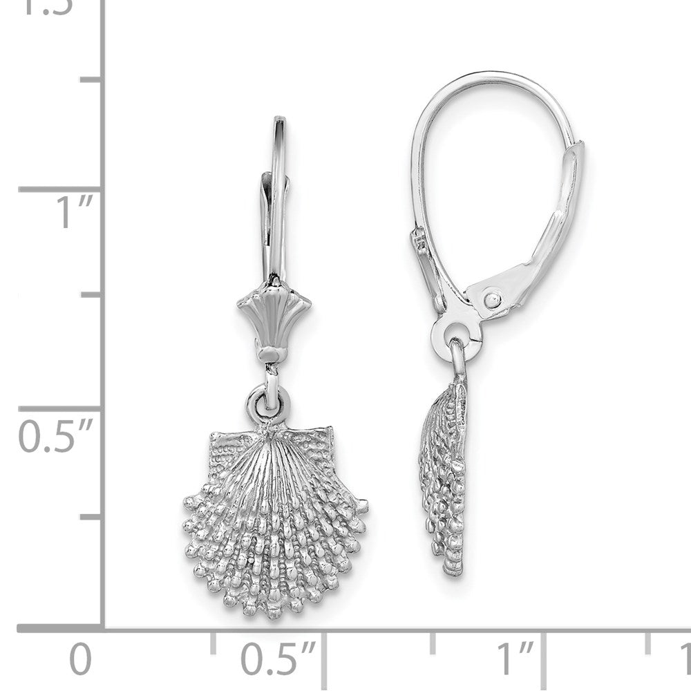 14K Weißgold Gekugelt Muschel Ohrhänger mit Brisur