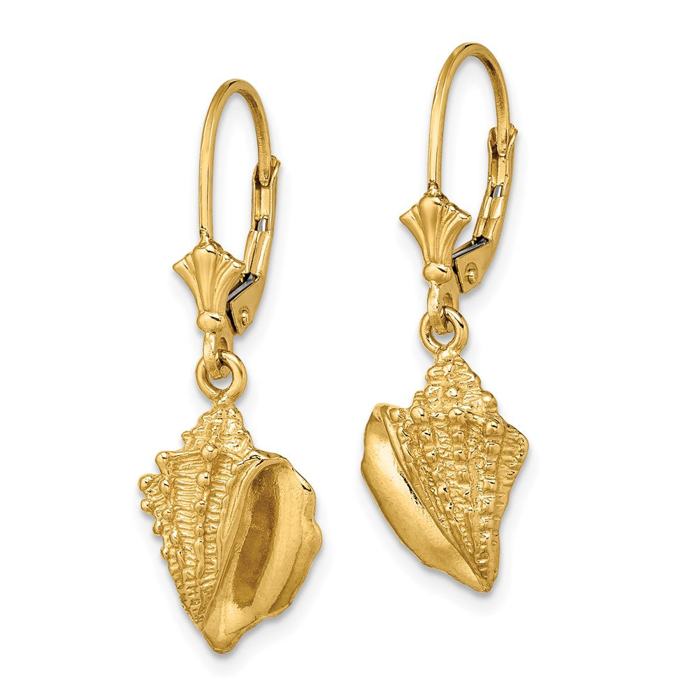 14K Gelbgold Conch Muschel Ohrhänger mit Brisur