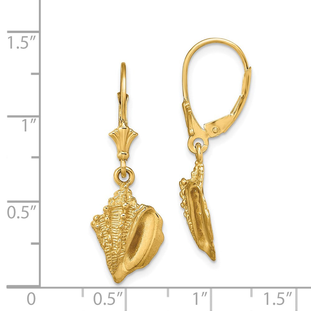 14K Gelbgold Conch Muschel Ohrhänger mit Brisur