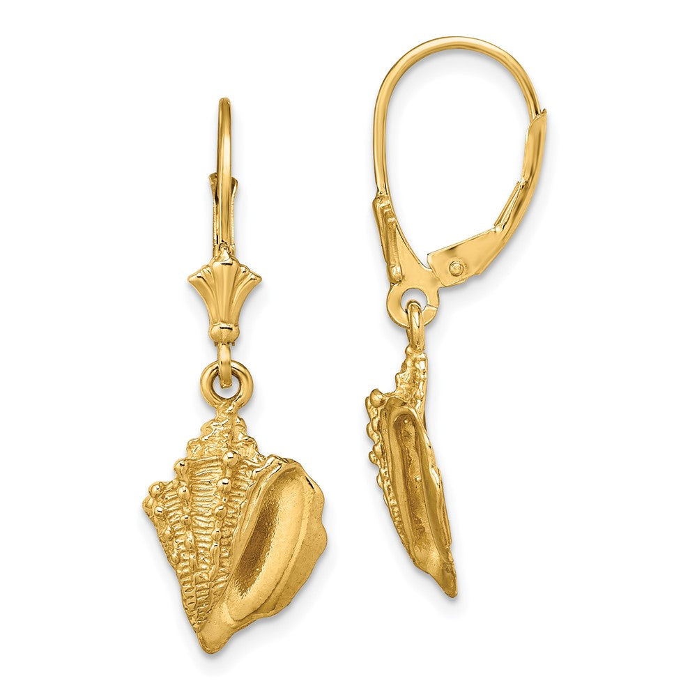 14K Gelbgold Conch Muschel Ohrhänger mit Brisur