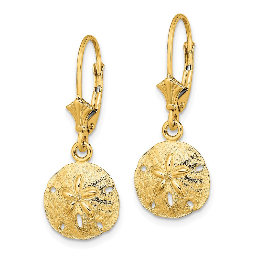 14K Gelbgold Poliert Sand Dollar Ohrhänger mit Brisur