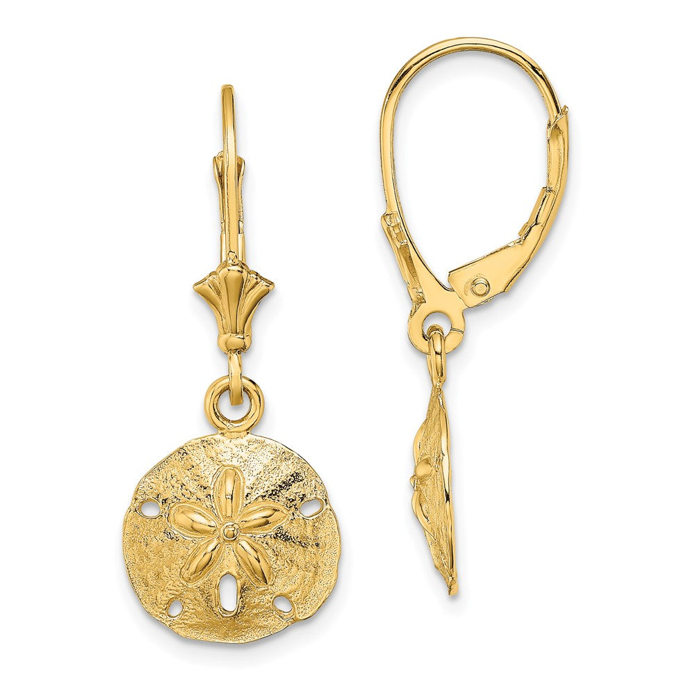 14K Gelbgold Poliert Sand Dollar Ohrhänger mit Brisur