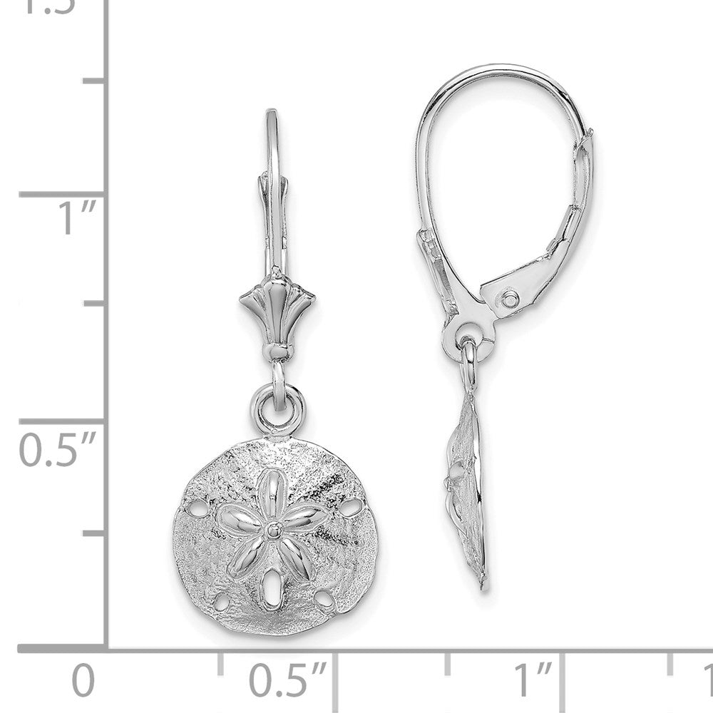 14K Weißgold Poliert Sand Dollar Ohrhänger mit Brisur