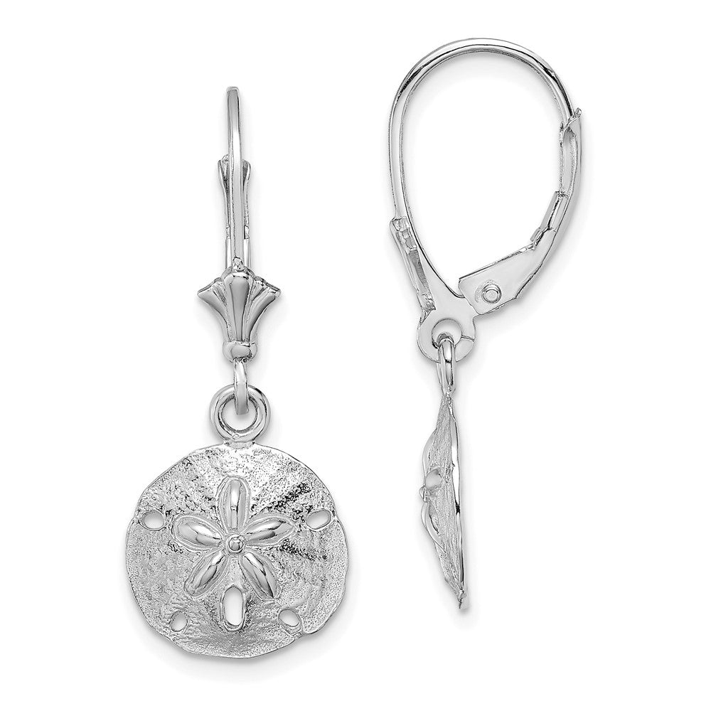 14K Weißgold Poliert Sand Dollar Ohrhänger mit Brisur
