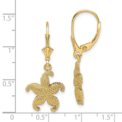 14K Gelbgold 2-d Gewölbt Seestern Ohrhänger mit Brisur