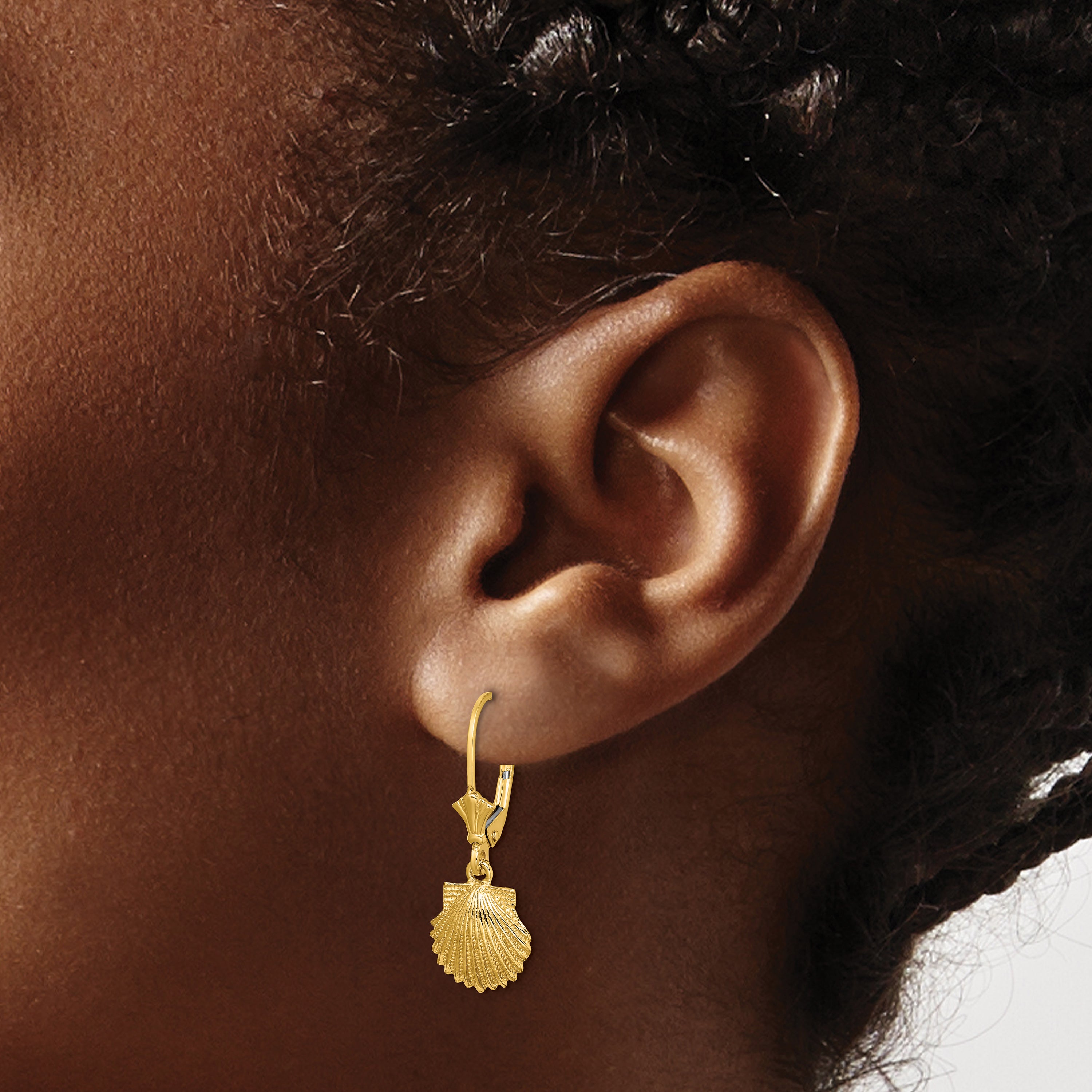 14K Weißgold Muschel Ohrhänger mit Brisur