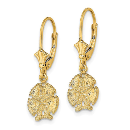 14K Gelbgold Sand Dollar mit Stern Ohrhänger mit Brisur