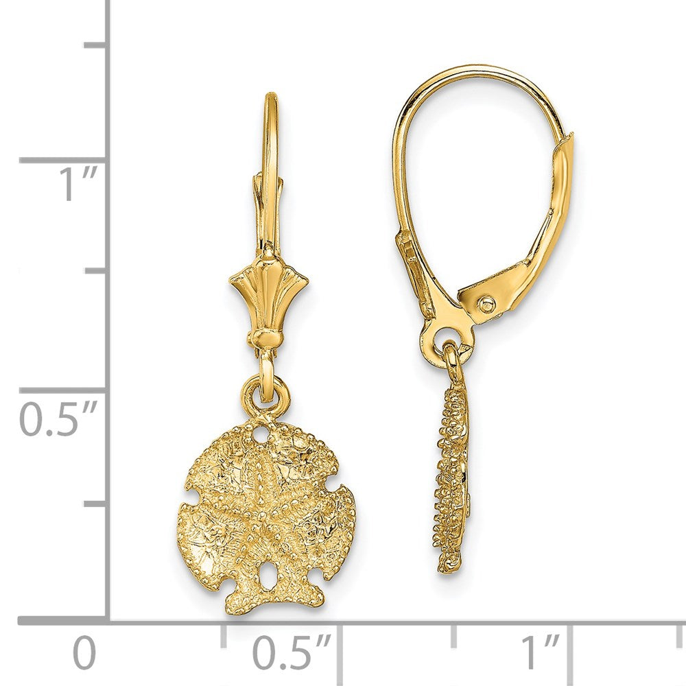 14K Gelbgold Sand Dollar mit Stern Ohrhänger mit Brisur