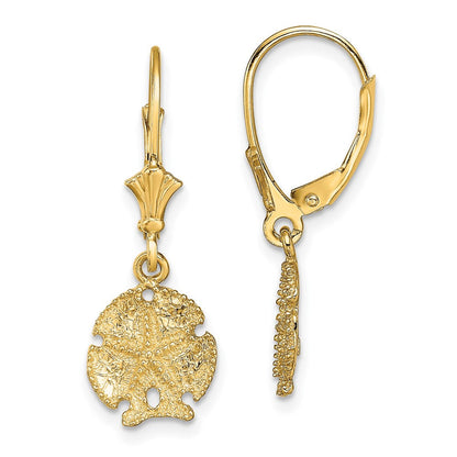 14K Gelbgold Sand Dollar mit Stern Ohrhänger mit Brisur