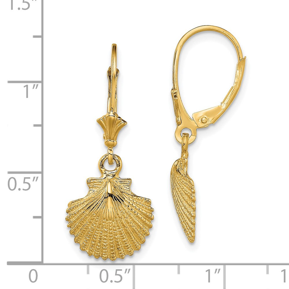 14K Gelbgold 2-d und Strukturiert Muschel Ohrhänger mit Brisur