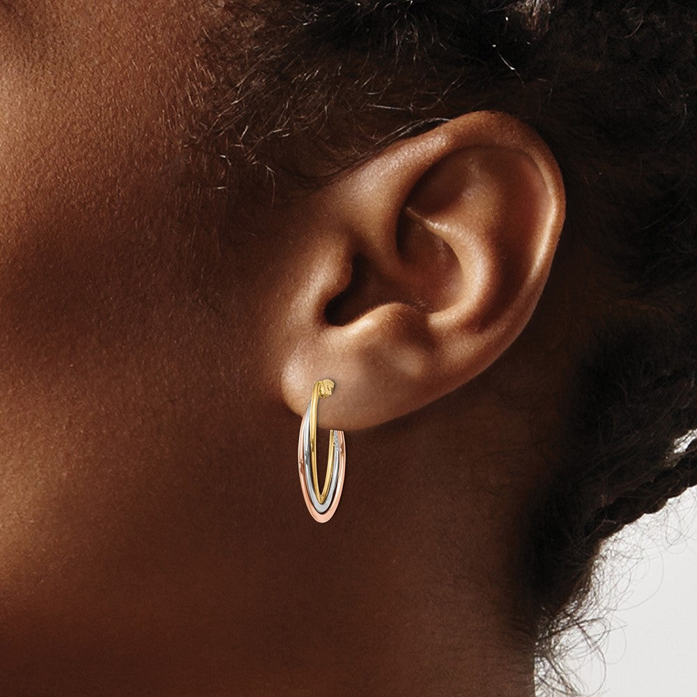 14K Tricolor Poliert Oval Creolen