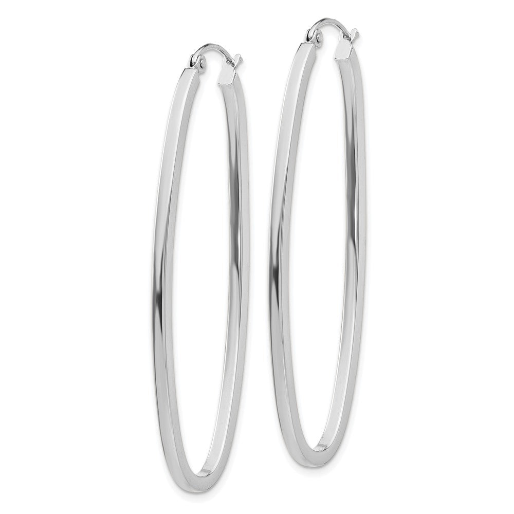 14K Weißgold Groß Oval Creolen