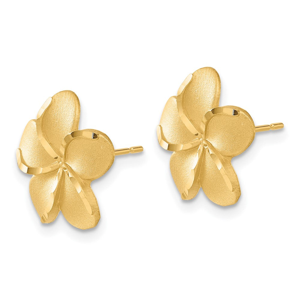 14K Gelbgold Plumeria French Draht Ohrringe