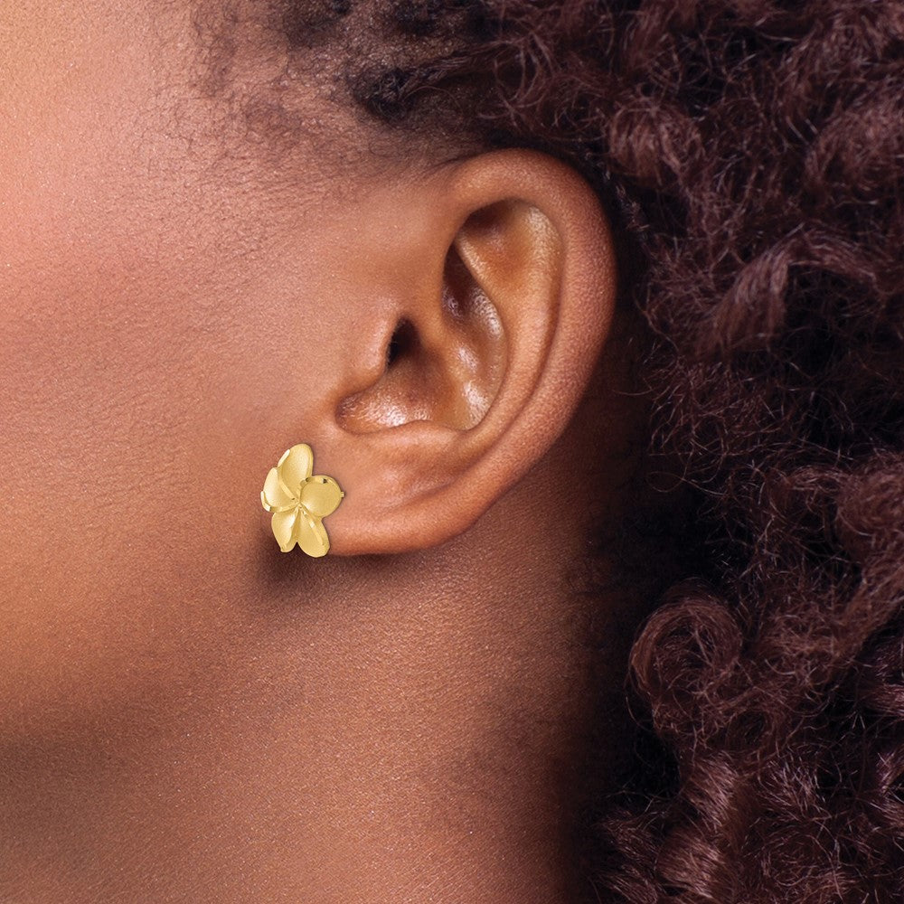 14K Gelbgold Plumeria French Draht Ohrringe