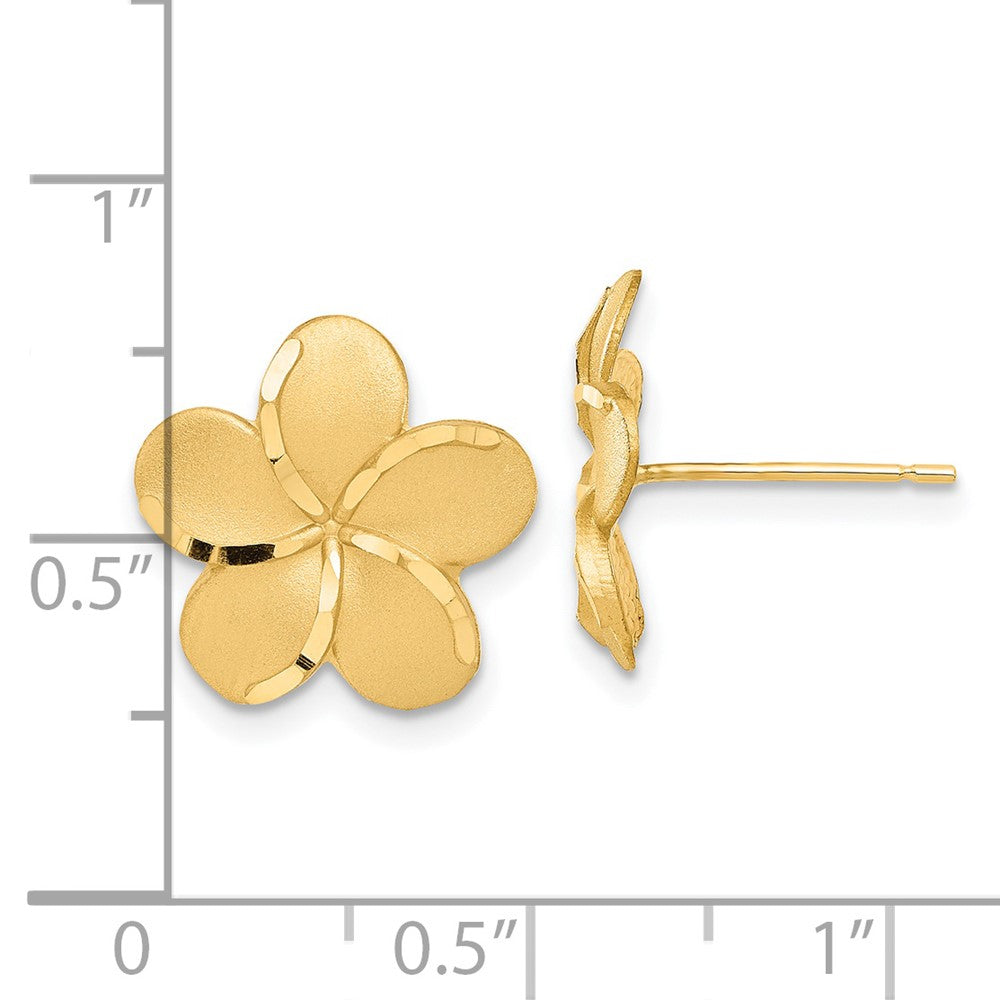 14K Gelbgold Plumeria French Draht Ohrringe