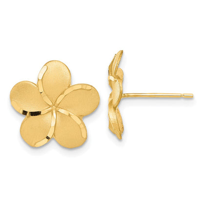 14K Gelbgold Plumeria French Draht Ohrringe
