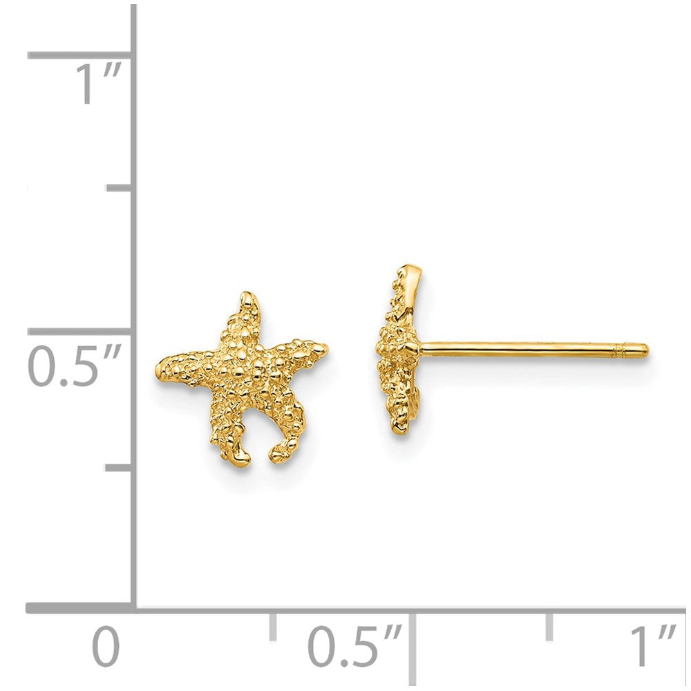 14K Gelbgold Poliert und Strukturiert Seestern Ohrstecker