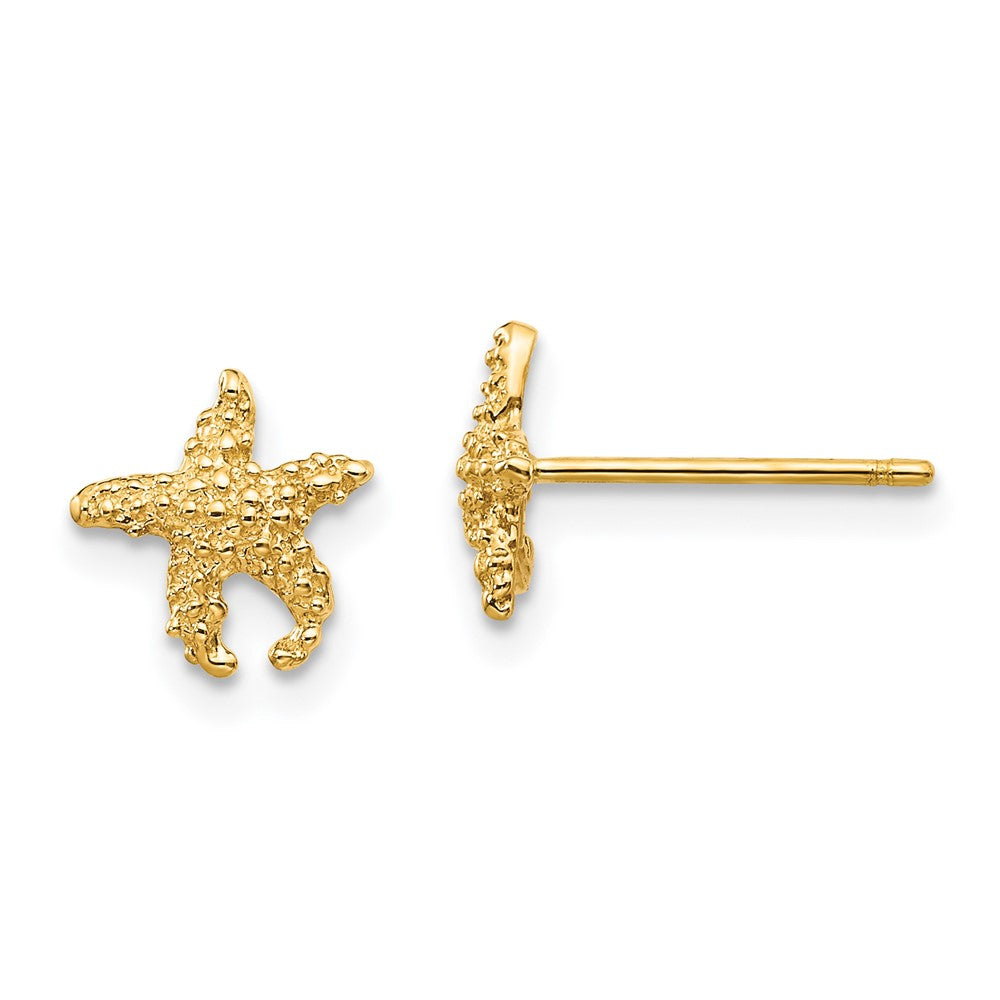 14K Gelbgold Poliert und Strukturiert Seestern Ohrstecker