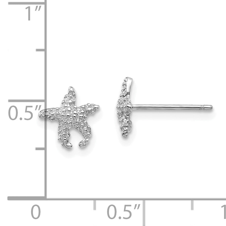 14K Weißgold Poliert und Strukturiert Seestern Ohrstecker