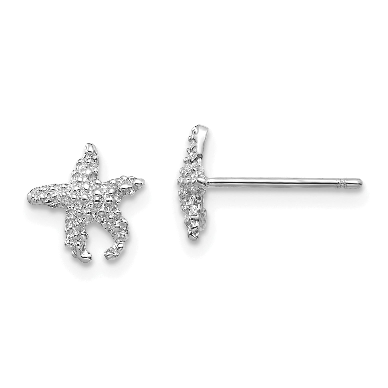 14K Weißgold Poliert und Strukturiert Seestern Ohrstecker